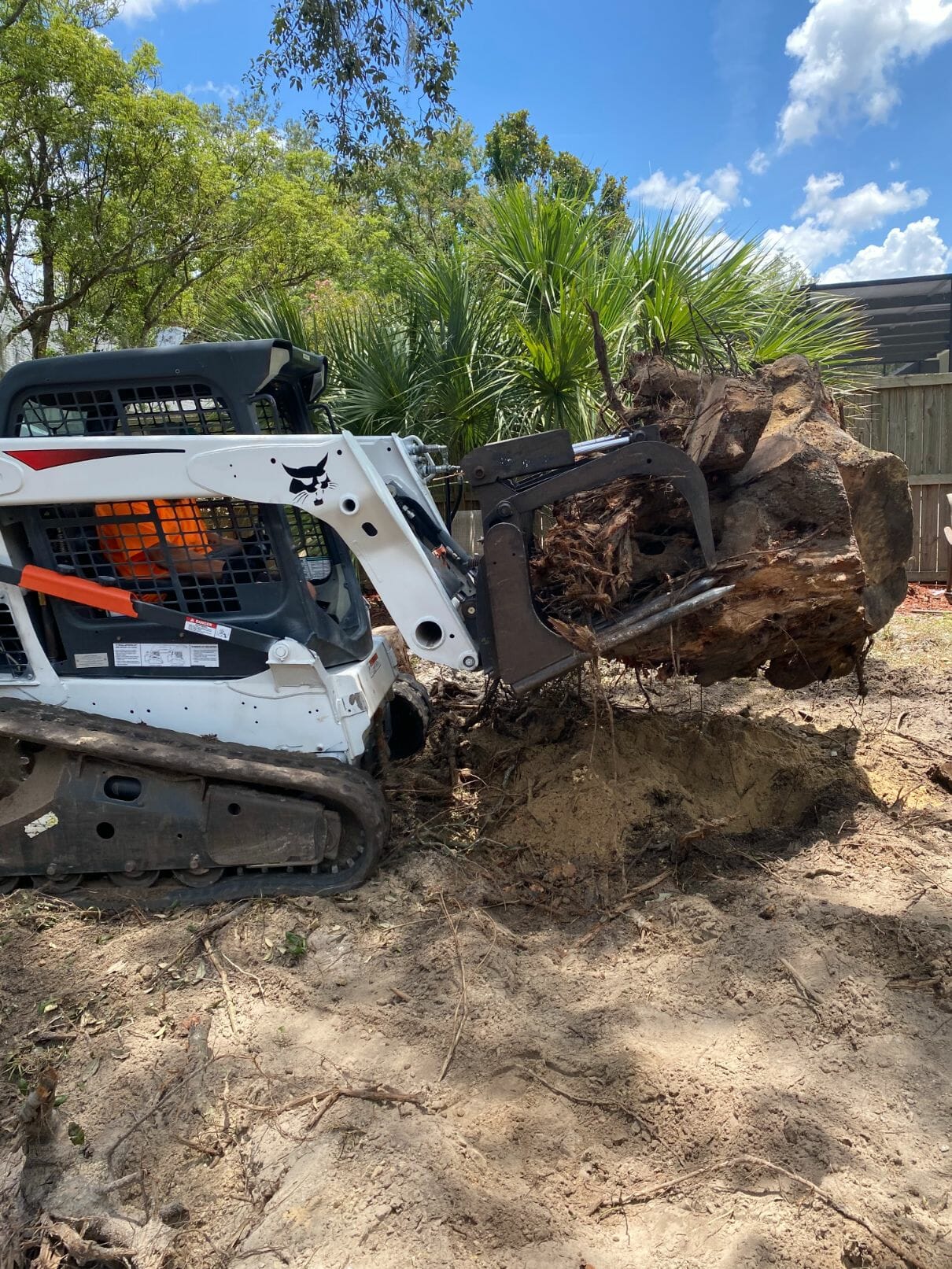 Large Tree Stump Removal in Bertha FL